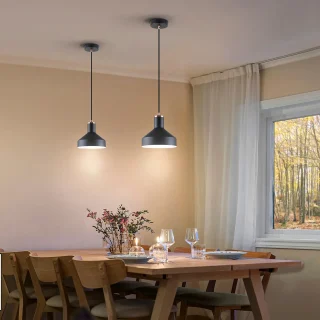 Lámpara Colgante Negro Cobre Irias Schuller