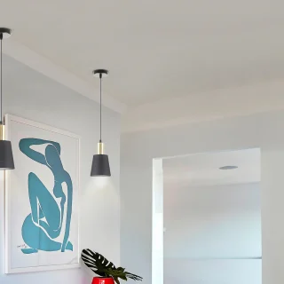 Lámpara Colgante Negro Latón Gisela Schuller